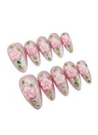 🌿🌸 Blush Blossom Vines