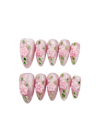 🌿🌸 Blush Blossom Vines